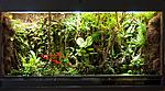 Raf terrarium aug01