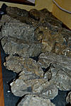 DSC4445
