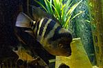 20140407 IMG 4307