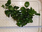 P4050382