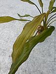 20140404 140104
