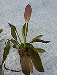 20140404 132608