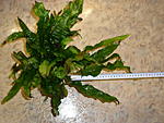 P4050378