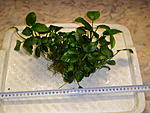 P4050381
