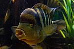20140407 IMG 4296