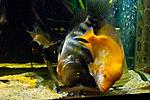 20140407 IMG 4293