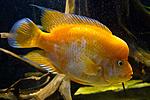 20140407 IMG 4305