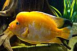 20140407 IMG 4303