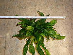 P4050376