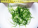DSCF1660