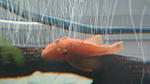 DSC03428