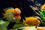 20140417 IMG 4359