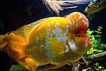 20140417 IMG 4350