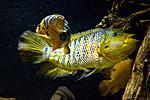 20140216 IMG 4089