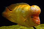 20140409 IMG 4331