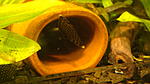 DSC03433