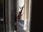 IMG 1179[3]