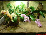 DSC00355