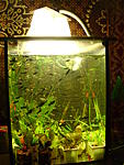 DSC05010