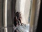 IMG 1181[2]