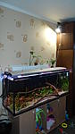 DSC01795
