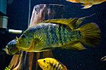 20140216 IMG 4092