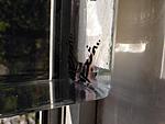 IMG 1180[3]