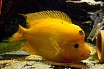 20140417 IMG 4344