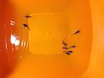 IMG 1173[1]