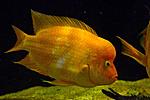 20140409 IMG 4317
