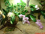 DSC00371