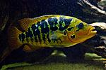 20140419 IMG 4396