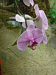 DSC00359