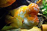 20140417 IMG 4353
