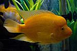 20140501 IMG 4438