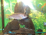 DSC02045