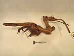 IMG 5094