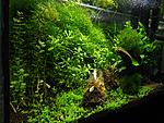 DSCN1044