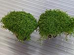 20140423 180946