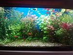 CameraZOOM 20140424154523806