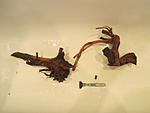 IMG 5098