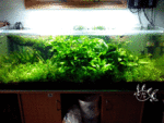 IMG 20140220 161410