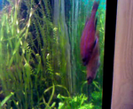 vlcsnap 2010 02 07 09h17m25s60
