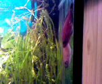 vlcsnap 2010 02 07 09h14m36s72