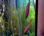vlcsnap 2010 02 07 09h24m03s191