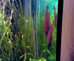 vlcsnap 2010 02 07 09h23m20s224