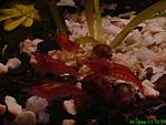 DSC02584