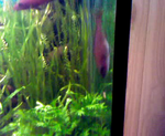 vlcsnap 2010 02 07 09h16m48s171
