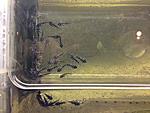 IMG 1222[1]