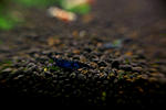 IMG 8856